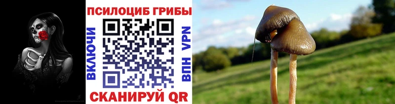 blacksprut как зайти  купить закладку  Геленджик  Галлюциногенные грибы Cubensis 