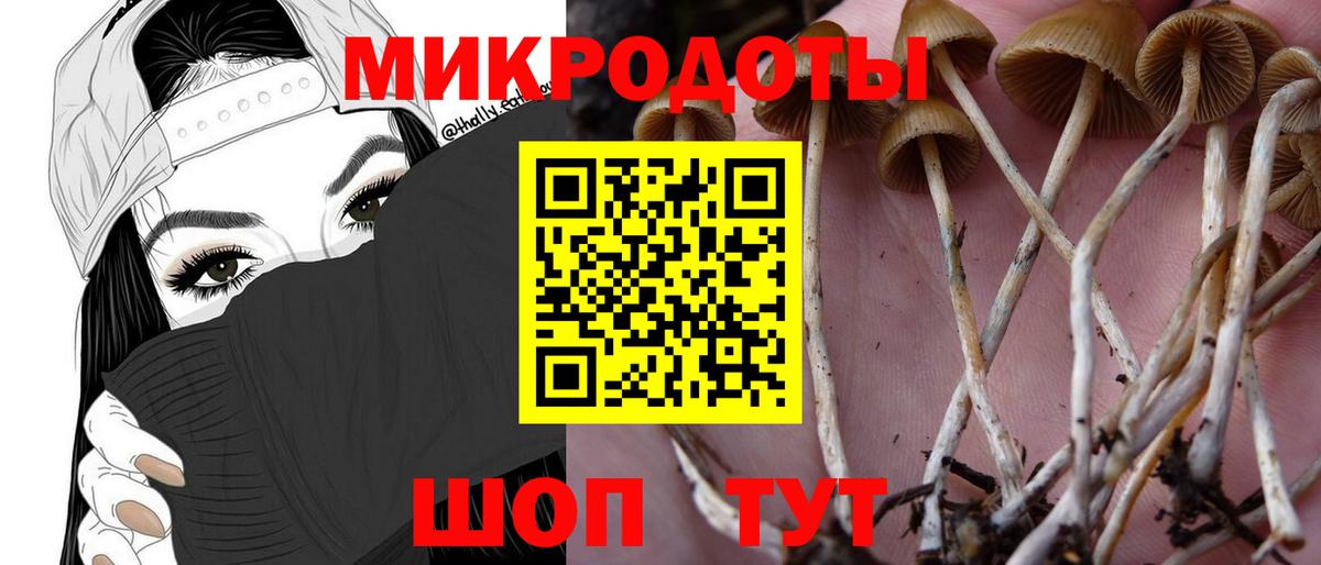 Галлюциногенные грибы Psilocybe  Галлюциногенные грибы Cubensis  Геленджик  Вход с VPN 